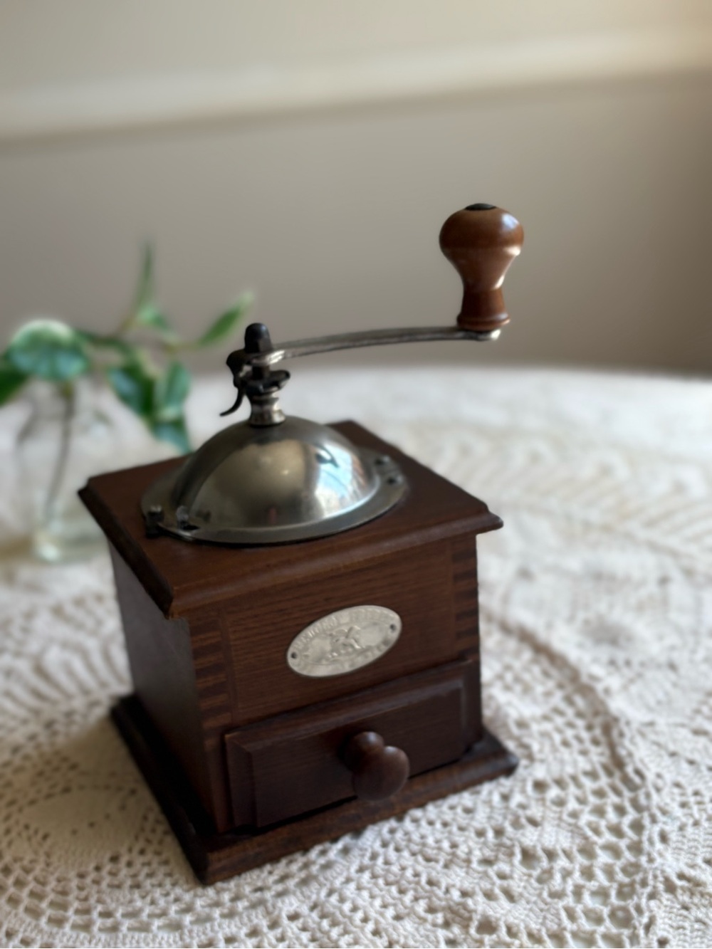 Peugeot Hand Coffee Mill in Dark Brown and Silver